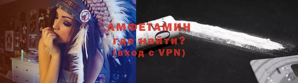 шишки Рославль