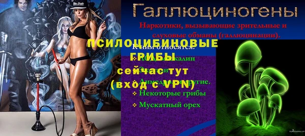 spice Абаза
