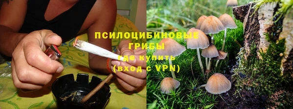 дурь Абдулино