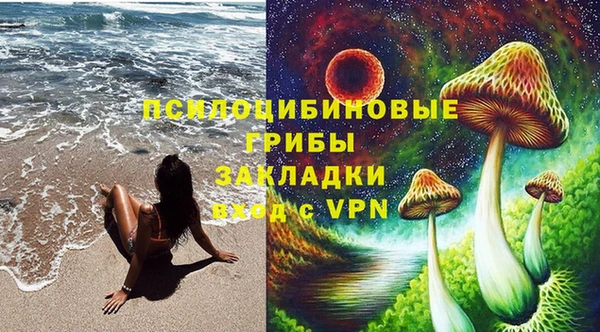 spice Абаза