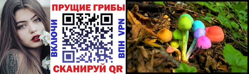 закладка  darknet официальный сайт  Псилоцибиновые грибы мухоморы  Мосальск 